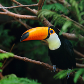 Costa Rica Destination
