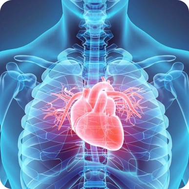 Cardiology