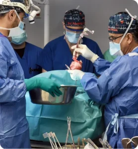 Countries for Heart Transplant Surgery A Global Guide to Advanced Cardiac Care