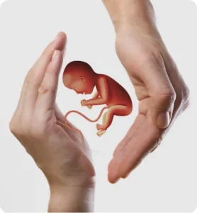 Egg Donation Abroad A Gift of Life Through Safe and Compassionate Care