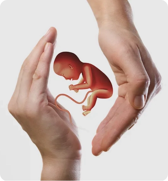 Egg Donation Abroad A Gift of Life Through Safe and Compassionate Care
