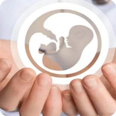 Egg Donation