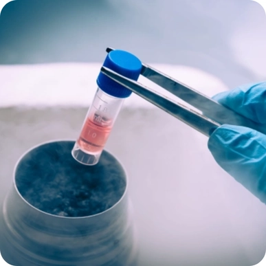 Embryo Freezing