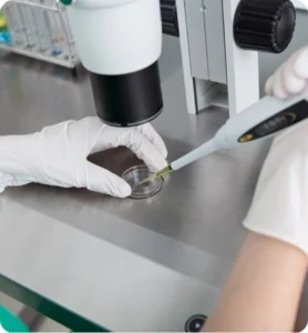ICSI Treatment Abroad A Targeted Solution for Male Infertility