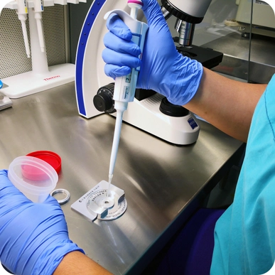 Intracytoplasmic Sperm Injection
