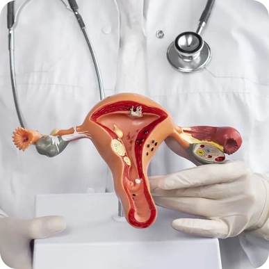 Intrauterine Insemination