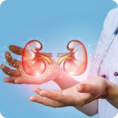 Kidney Transplantation