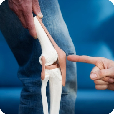 Knee Replacement
