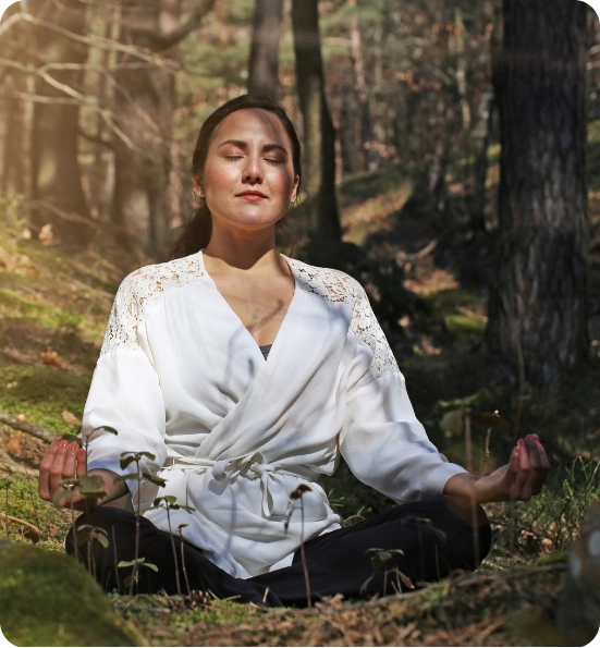 Rejuvenate Through Forest Bathing A True Nature Therapy Experience