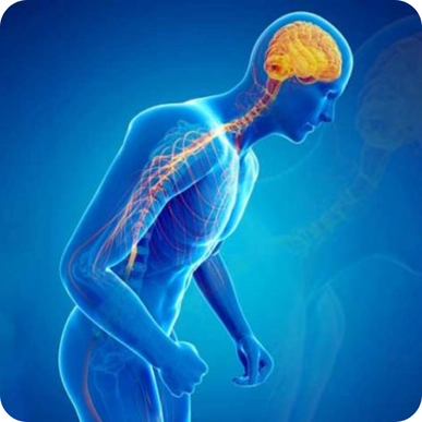 Stem Cell Therapy for Parkinson’s Disease