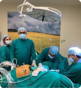 Uterine Fibroid Treatment